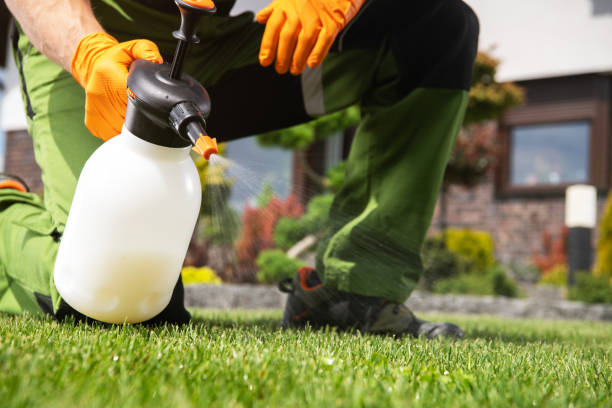 Best Pest Removal Services  in Concordia, NJ